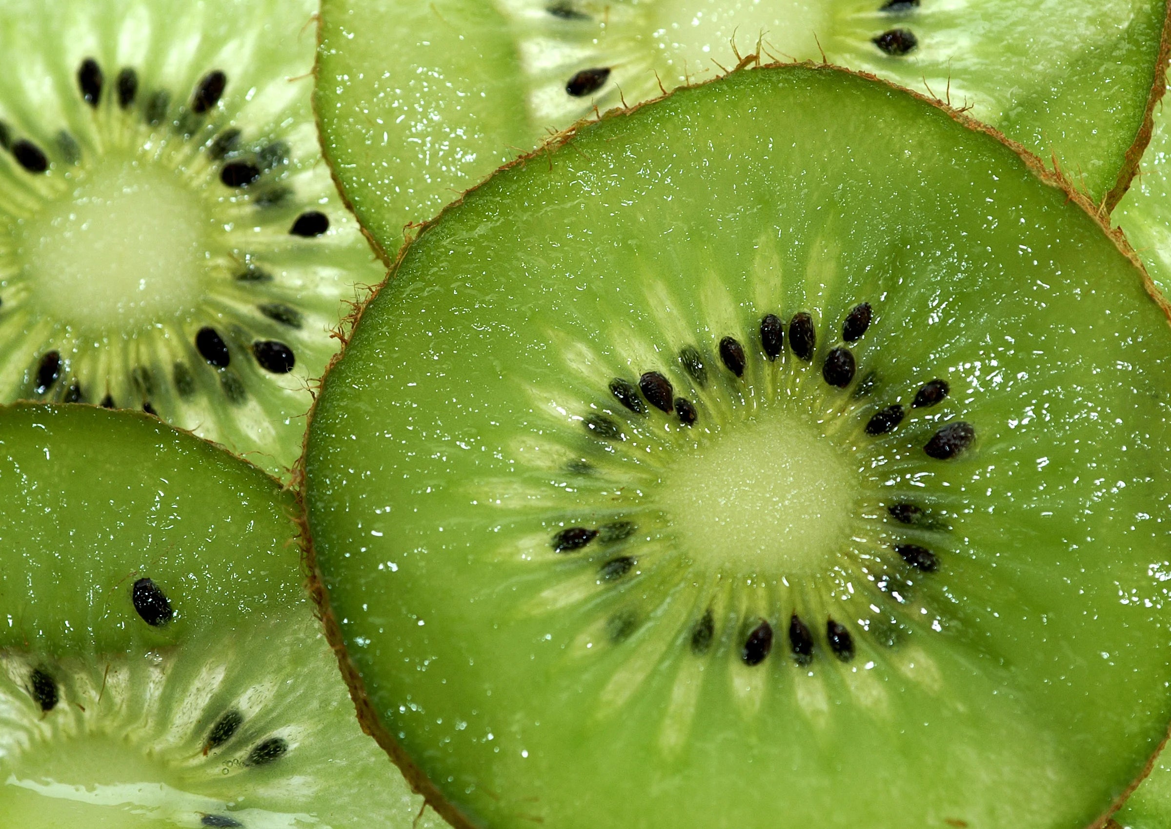 Bulk Kiwi Slices 10 Pound Box B380