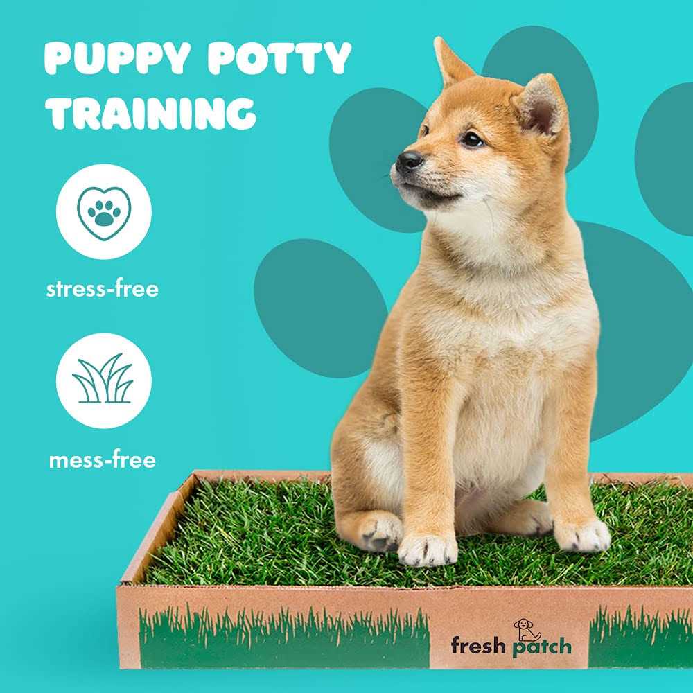 Large Real Grass Pee and Potty Training Pad for Dogs S104632