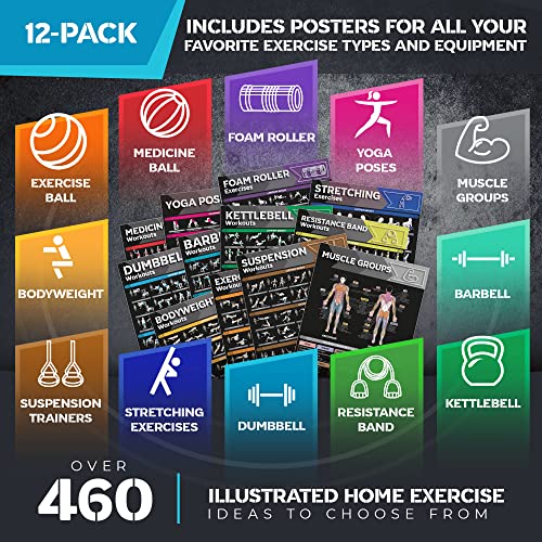 12-PACK Laminated Large Workout Poster Set with Exercise Charts C312967