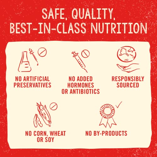 Freeze Dried Raw Super Beef Meal Mixer Dog Food Topper – 3.5 oz Bag D23424