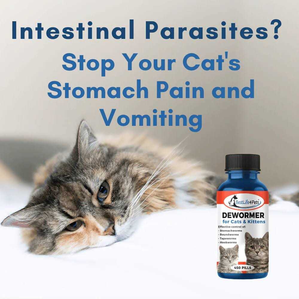 Broad Spectrum Dewormer for Cats and Kittens J414