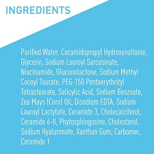 Fragrance Free Body Wash with Salicylic Acid, 10 Ounce V11549