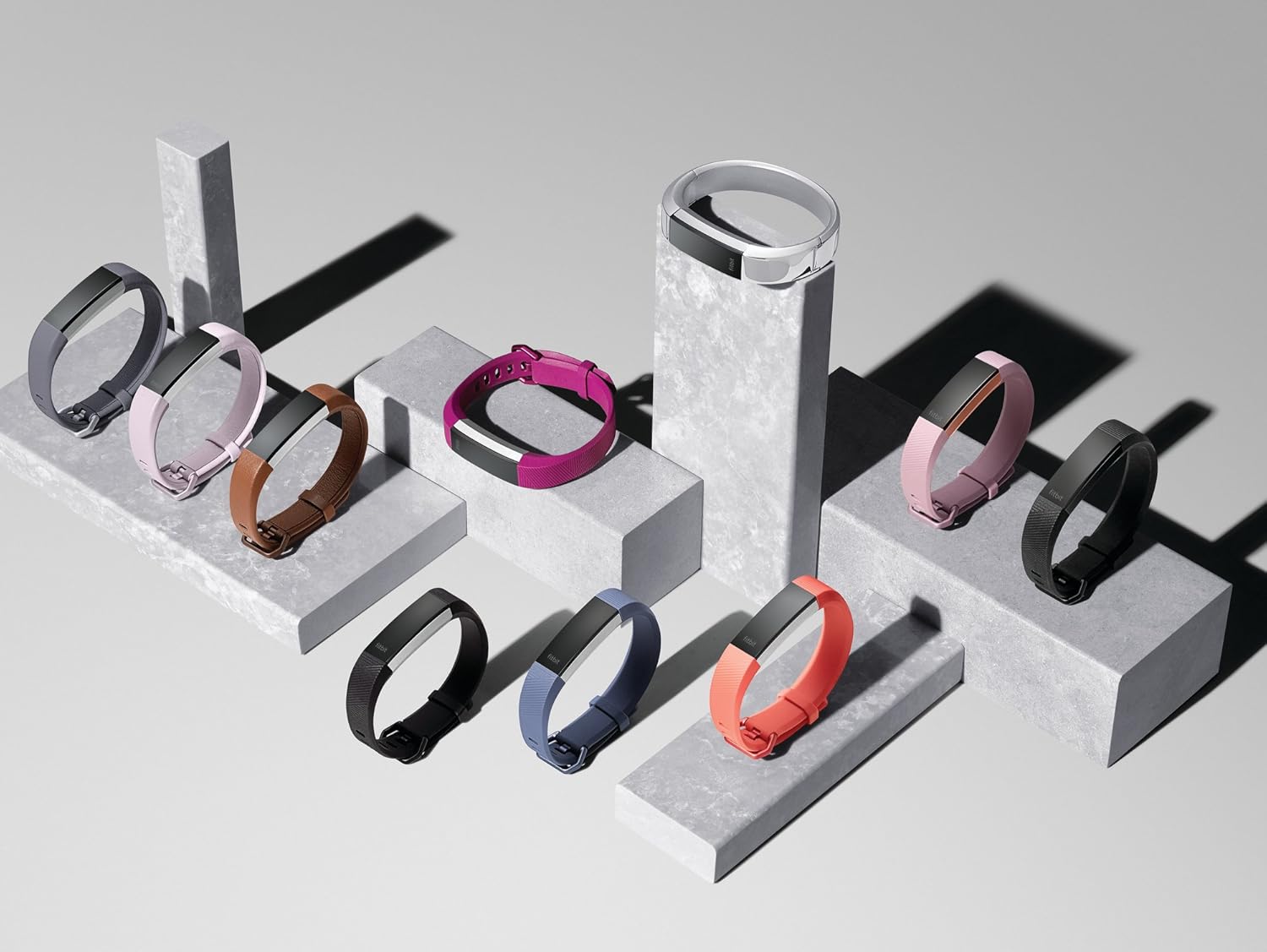 Black Large Fitbit Alta HR W151363