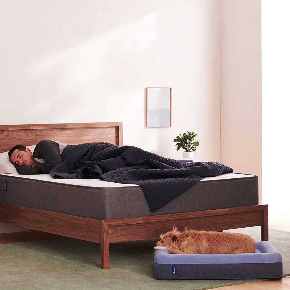Dog Bed Z848