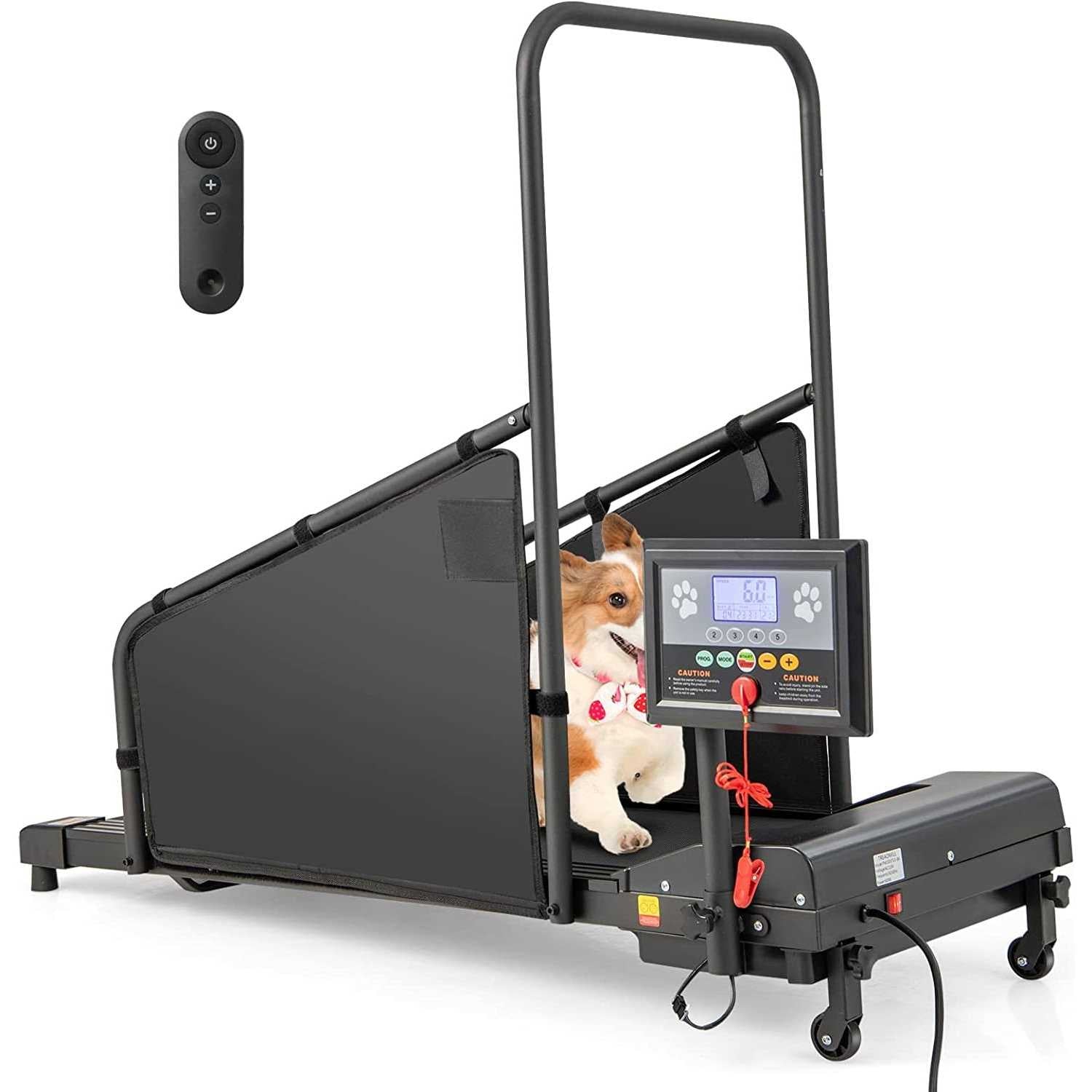 Indoor Pet Exercise Equipment with Remote Control I853
