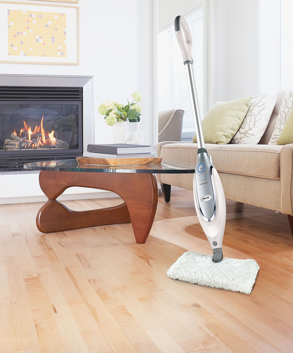 Professional Steam Pocket Mop W389232