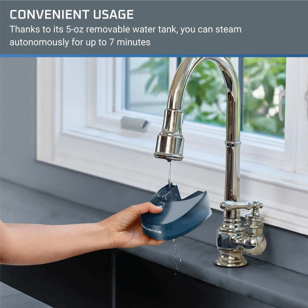 Handheld Steamer T886