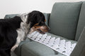 Large Clear Couch Guard Furniture Protectors H1428