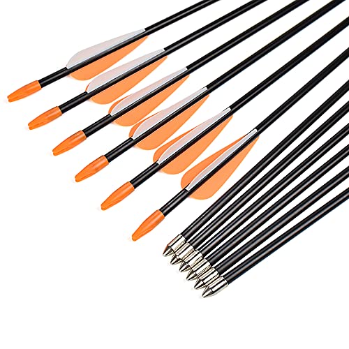 Fiberglass Arrows 30 Inch Target Shooting Safetyglass Recurve Bows A539