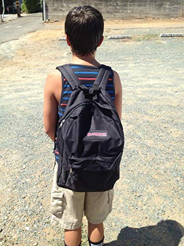 17 Inch Backpack with Adjustable Padded Shoulder Straps C717