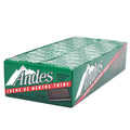 Rectangular Chocolate Sandwich Mint Candies - 20 Oz, 120 Count D965