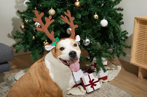 Brown Reindeer Dog Antlers Headband Pet Christmas Costume B741