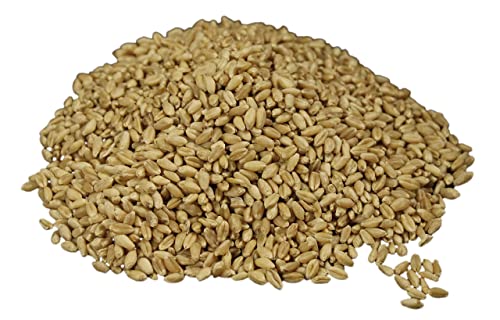 25 lb Bulk Hard White Wheat Berries X29897