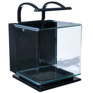 5 Gallon Kit I7462