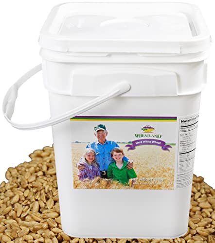 25 lb Bulk Hard White Wheat Berries X29897