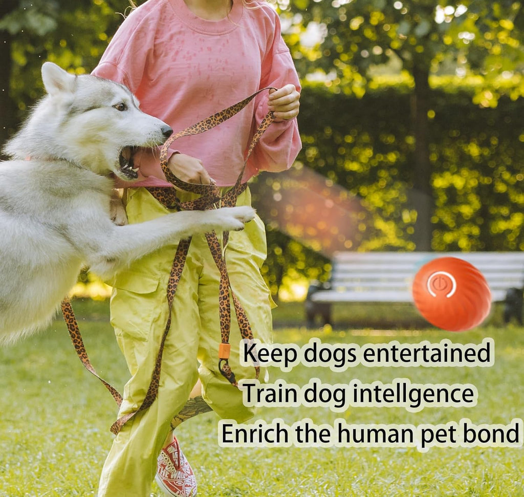 Smart Interactive Dog Toys Ball, Rechargeable, Motion Activated Automatic Rolling Ball B9818