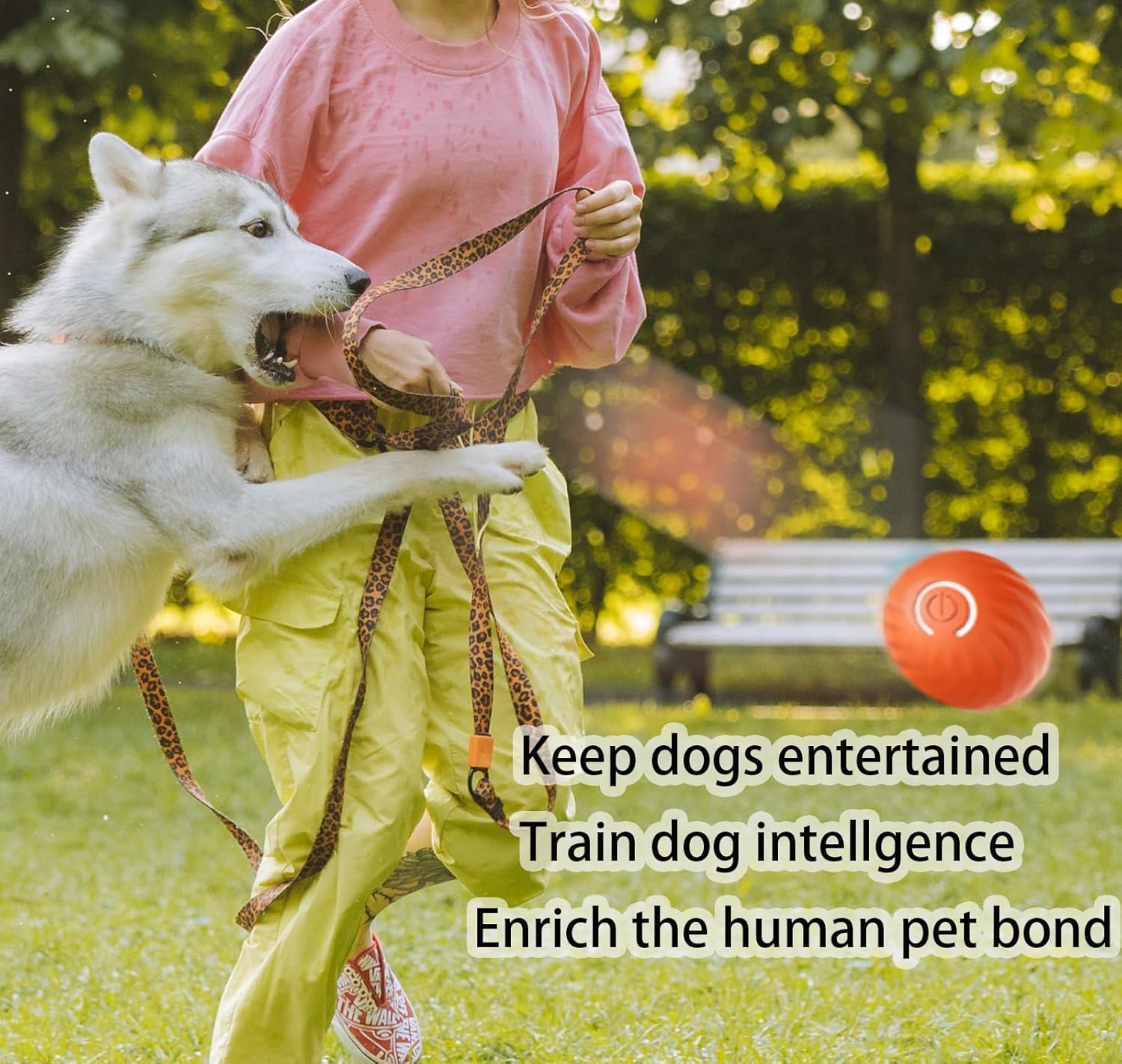 Smart Interactive Dog Toys Ball, Rechargeable, Motion Activated Automatic Rolling Ball B9818