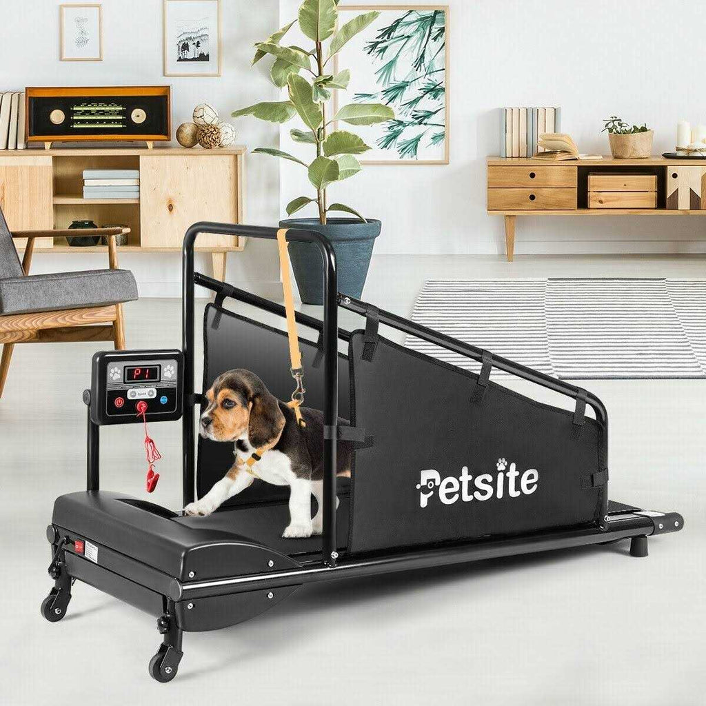Indoor Pet Exercise Equipment with Remote Control I853