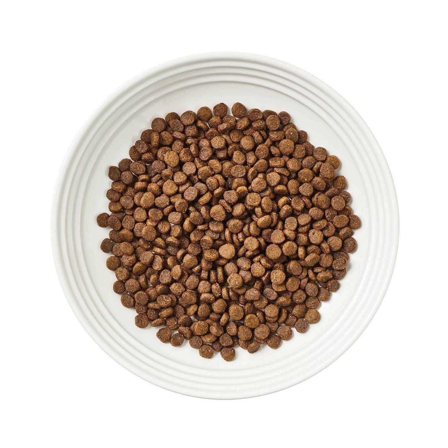 Grain-Free Chicken Recipe Dry Cat Food Y17859