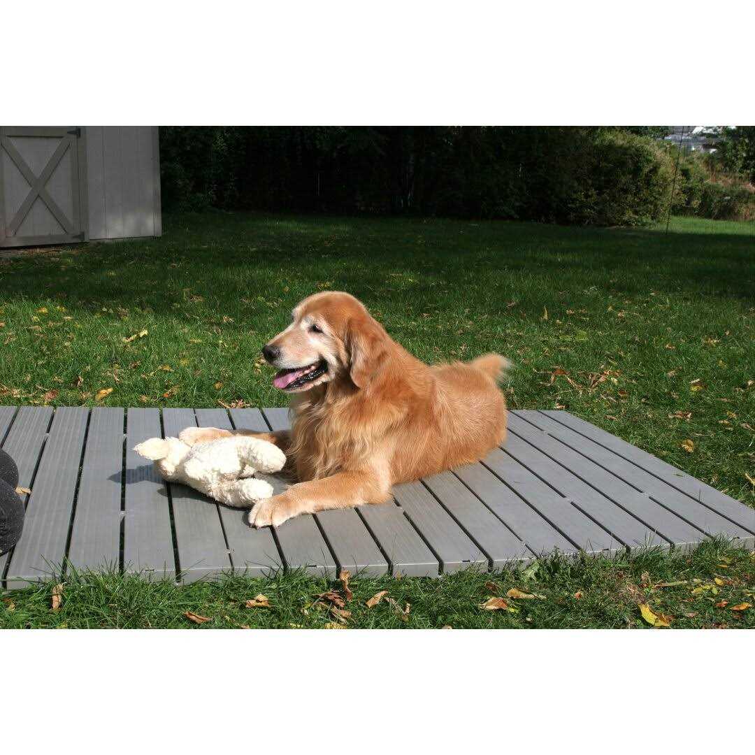 Kennel Deck 1 pack N64502
