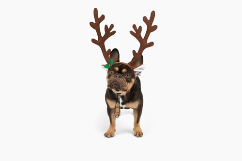 Brown Reindeer Dog Antlers Headband Pet Christmas Costume B741