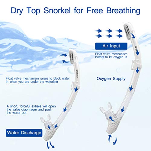 Anti-Fog Tempered Glass Snorkel Mask Set A6074