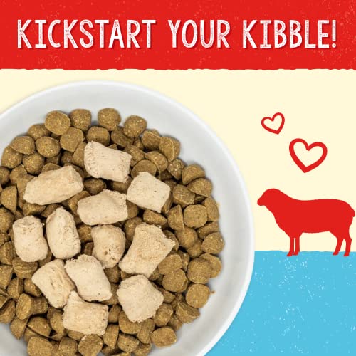 Freeze Dried Raw Super Beef Meal Mixer Dog Food Topper – 3.5 oz Bag D23424