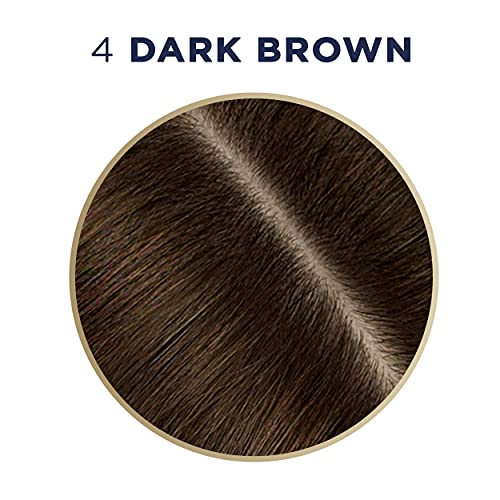 Dark Brown Temporary Hair Color Spray, 2 Count E538