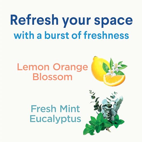 Disinfecting Mist, Lemon and Orange Blossom, 2 Pack, 16 Fl Oz Each N808473