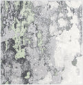 Green & Grey 4' Square Area Rug D895605