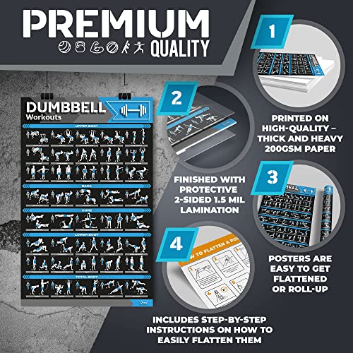 12-PACK Laminated Large Workout Poster Set with Exercise Charts C312967
