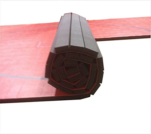 10'x10' Wrestling Mat B36345