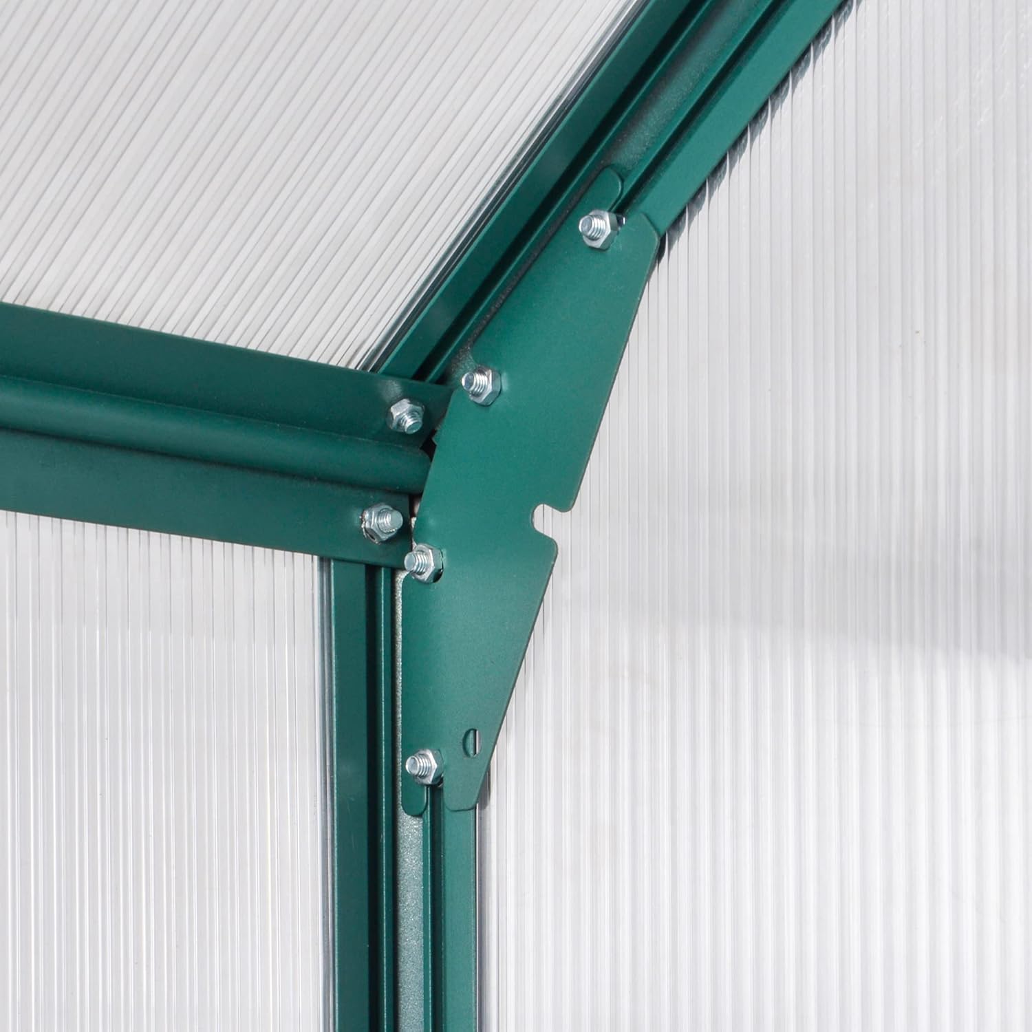 6' x 8' x 7' Walk-in Polycarbonate Greenhouse S16684