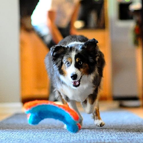 Orange and Blue 6.5 Inch Dog Toy O633
