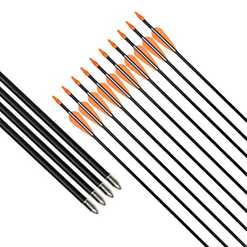 Fiberglass Arrows 30 Inch Target Shooting Safetyglass Recurve Bows A539