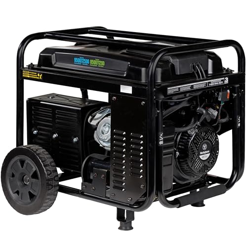 12500 Peak Watt Dual Fuel Portable Generator D8566