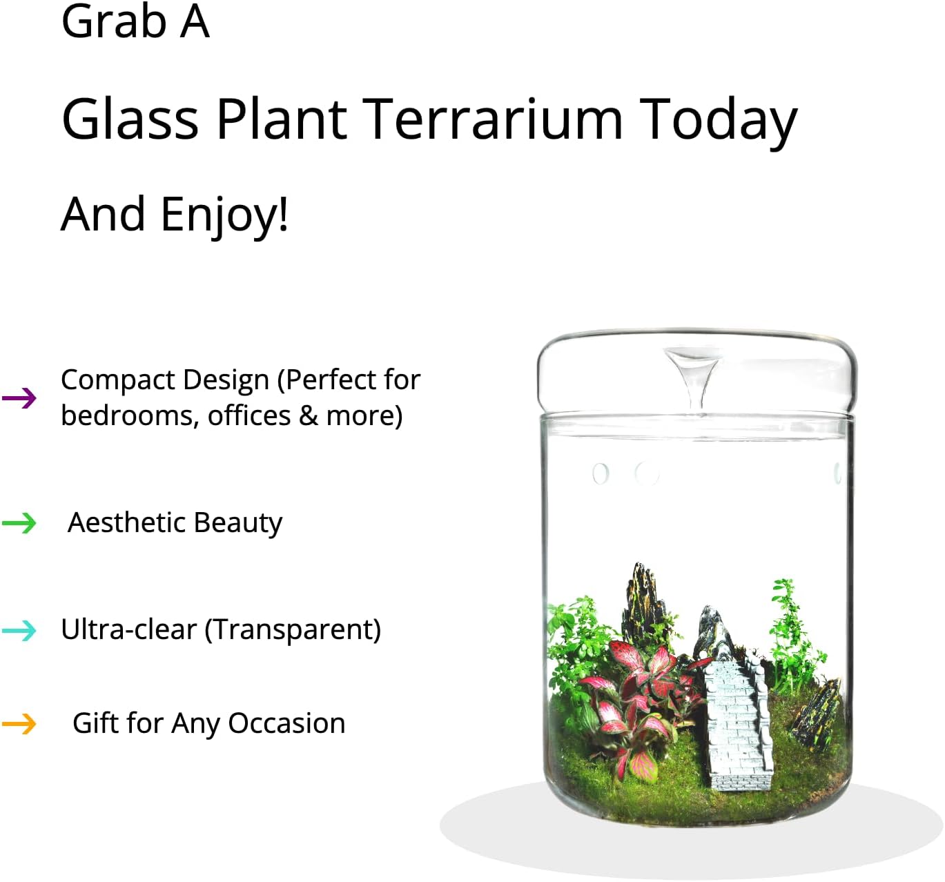Glass Plant Terrarium – 4.7 x 7 in Small Glass Planter with Lid R5253