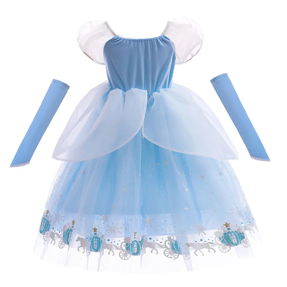 Princess Costume Dress P7201