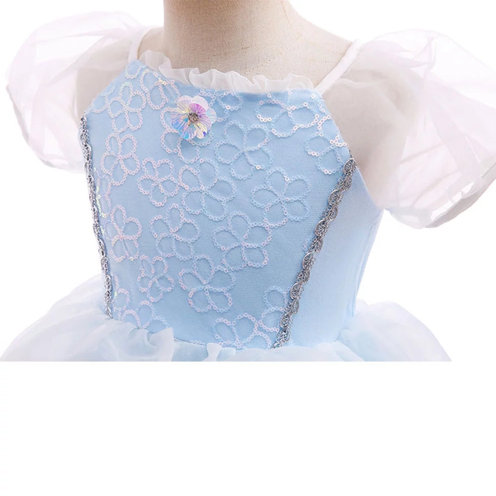 Princess Costume Dress P7201