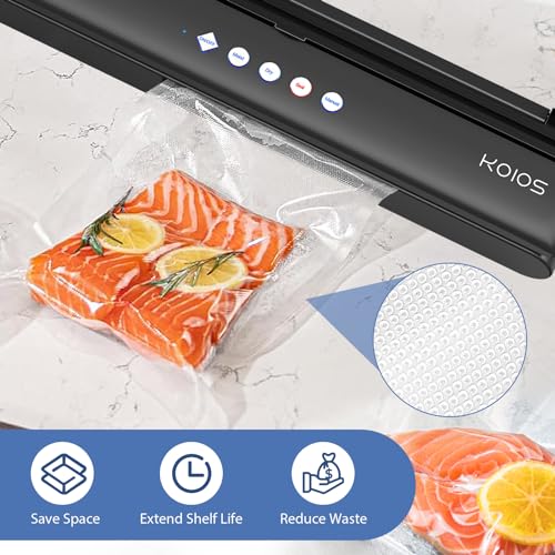 Compact Food Sealer with Cutter, Dry & Moist Modes, 10 Sealing Bags & Air Suction Hose H2211