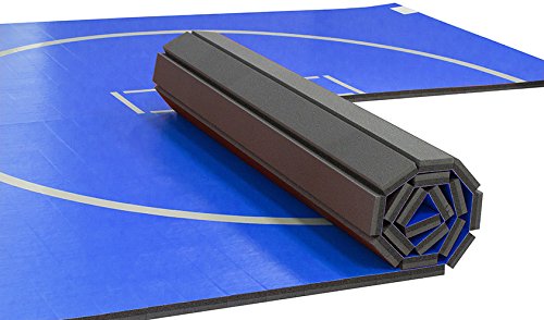 10'x10' Wrestling Mat B36345