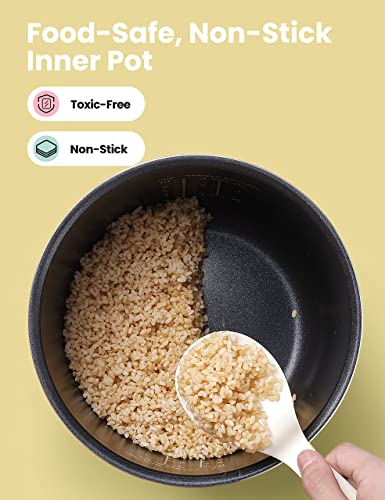 Large Rice Cooker P765