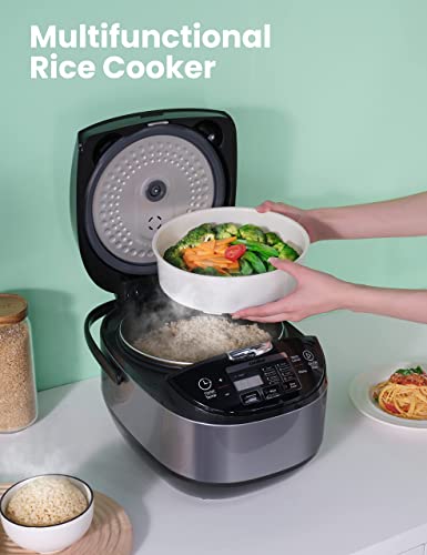 Large Rice Cooker P765