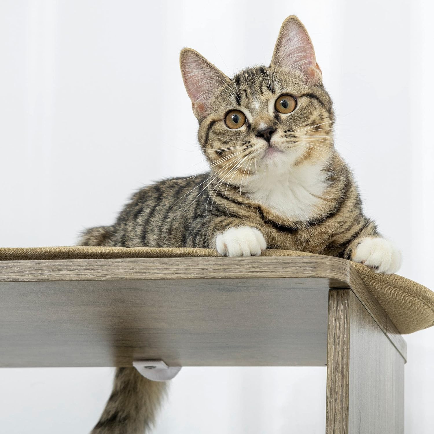 Cream White 65" Corner Cat Tree with Scratching Posts N213