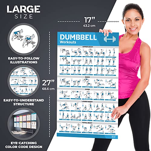 12-PACK Laminated Large Workout Poster Set with Exercise Charts C312967