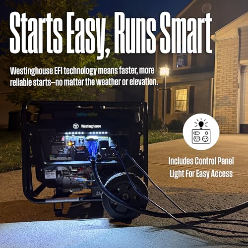 12500 Peak Watt Dual Fuel Portable Generator D8566