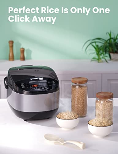 Large Rice Cooker P765