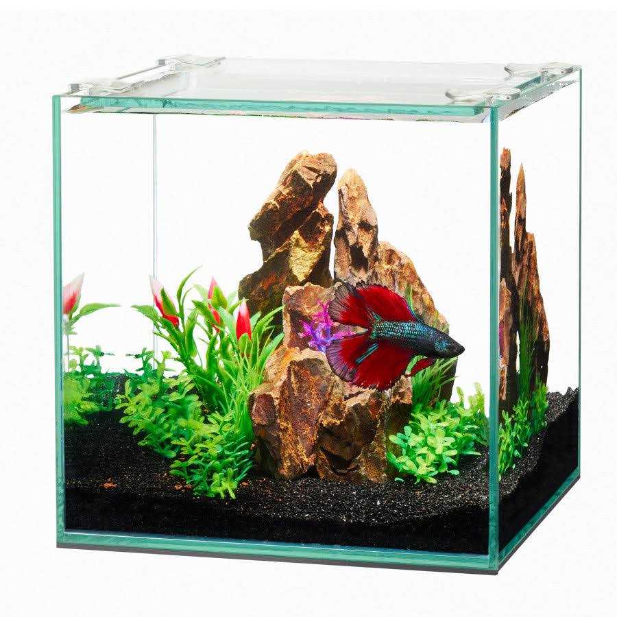 Frameless Cube Aquarium Q98722