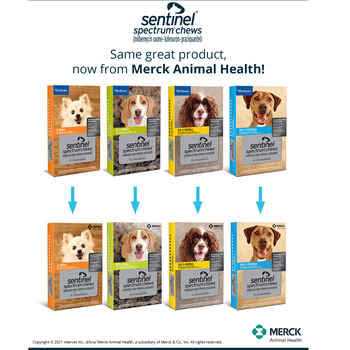 Sentinel Spectrum for Dogs S62729