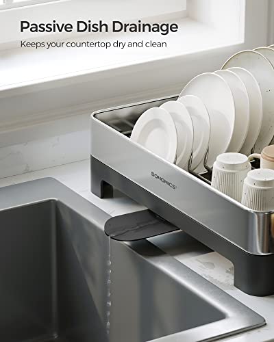 Large Stainless Steel Dish Drying Rack with Rotatable Spout, 12.5 x 22.5 in, Silver and Gray M671